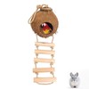 Gecko Coconut Husk Hut, Natural Coconut Shell Bird Nest with
