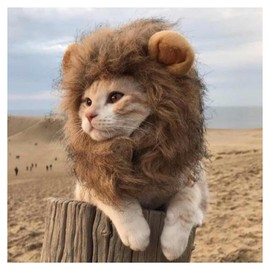 Cat Wig Funny Cute Cat Costume Hat Lion Mane Accessories Dress Up Clothing Festival Party (Brown, Medium)
