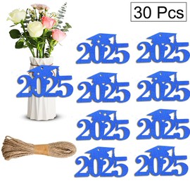 30Pcs 2025 Glitter Graduation Cutouts Tags Banners 2025 Graduation Party Decoration Tags for Mason Jar Table Centerpieces Class of 2025 Graduation Cutouts Tags Sign for Vase