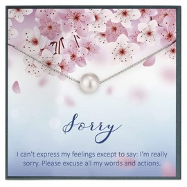 Im Sorry Gifts for Her Apology Gifts I'm Sorry Gifts Forgive Me Gifts Im Sorry Gift for Her Forgive Me Friend Sorry Gifts for Girlfriend