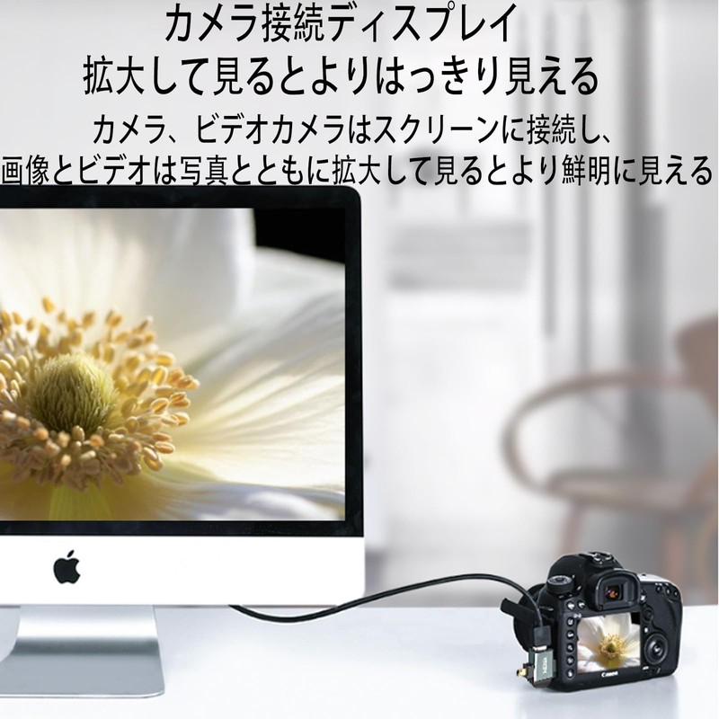 Mini HDMI to HDMI Master Converter Adapter Mini Micro 2