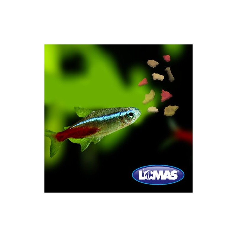 Lomas Hojuelas para Peces Tropicales Inmmune Advantange con 40 Gramos