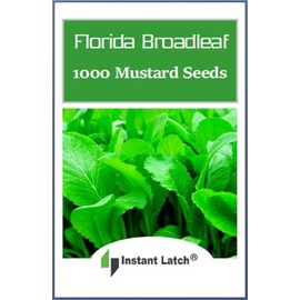 1000 Florida Broadleaf Mustard Seeds Non GMO Mustard Seeds for Planting Heirloom Garden Seed Packet