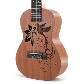 Dolphin/Bird Carved 21 inch Soprano Ukulele Sapele Wooden Small Hawaiian Guitar Set with Case Strap Tuner Picks Nylon Strings Primary Tutorial:_Bird