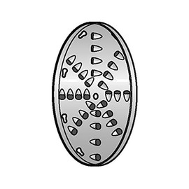 Alfa Intl. Shredding Disc hole size 1/4" - VS-12SD-1/4