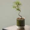 Leaf88 Made in Japan Flowerpot with Saucer, 4.1 x 4.5