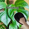 Aogigigio House Plant Leaf Cleaner - 3in1 Leaf Shine Set
