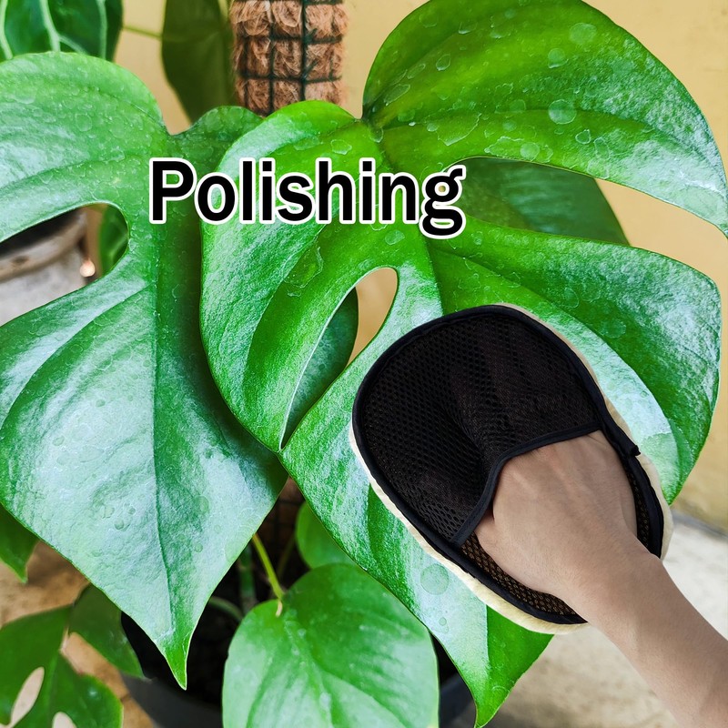 Aogigigio House Plant Leaf Cleaner - 3in1 Leaf Shine Set