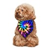 Modern Rainbow Tie Dye Hippie Bohemia Dog Bandana Scarf Triangle