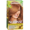 Nutrisse #73 Dk Golden Bl Size 1ct Nutrisse #73 Dark