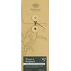 Whittard of Chelsea Mango and Bergamot Loose Tea Pouch 100