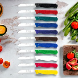 GGS Solingen 6 Lı Meyve Sebze Bıçağı Dişli Tırtıklı Bıçak (Simli Model, Beyaz)