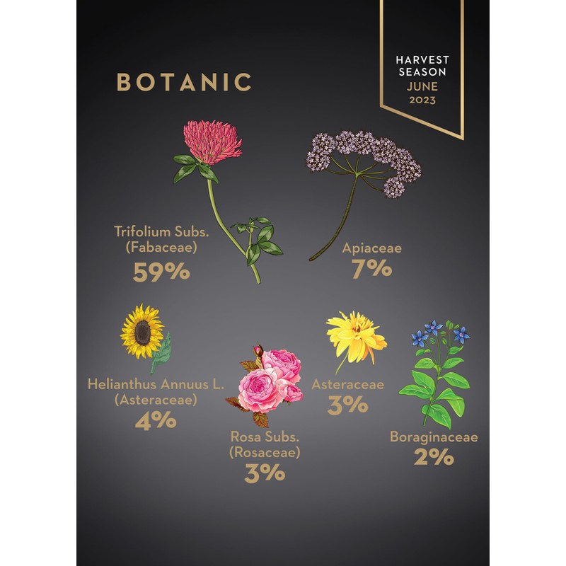 Garisar Premium Single Location High Plateau (+7000 FT) Honey |