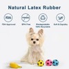 Pawdoer Squeaky Dog Ball - Soft Latex Rubber Squeaky Dog