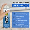 Carpet Aid Spot and Stain Remover, pH Balanced Cleaner for