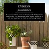 MACKENZIE-CHILDS Galvanized Wall Bucket, Metal Wall Planter, Decorative Hanging Plant