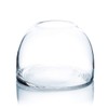WGV Dome Vase, Width 8" Height 5.7" Clear Elegant Glass
