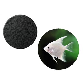 Set Of 4 Platinum Angel Fish Tropical Synthetic Leather Round Coasters And Gift Box