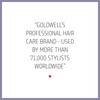 Goldwell Dualsenses Just Smooth Taming Anti-Frizz & Humidity Control Conditioner