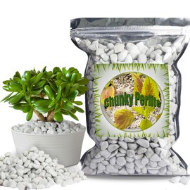 Doter Organic Chunky Perlite for Plants (0.4"-0.8" in Diameter), Natural Horticultural Soil Additive Conditioner Mix, Improve Drainage and Ventilation, Enhance Soil Health and Root Growth (10 Quarts)