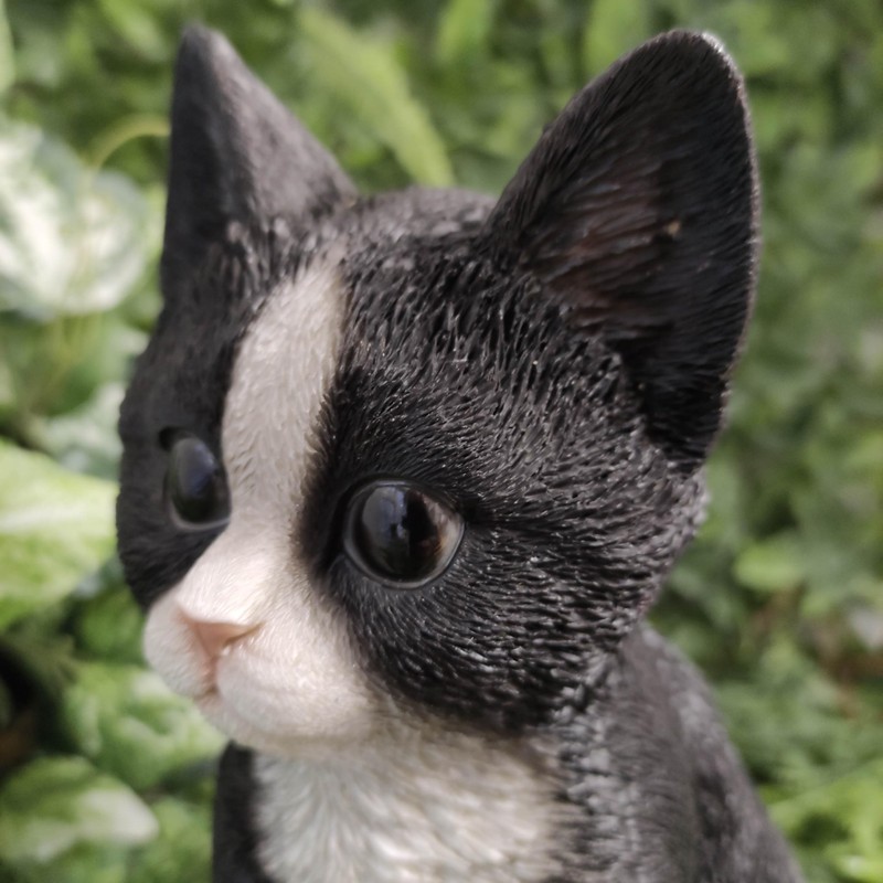 Pet Pals Kitten Black and White by Vivid Arts