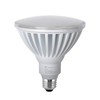 Xtricity PAR38 LED High Lumen Flood Light Outdoor, 325W Eqv