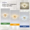 Modern Small Crystal Ceiling Light Fixture, 4-Light Gold Crystal Sputnik