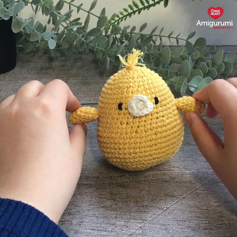 RED HEART Amigurumi Colin The Chick Kit