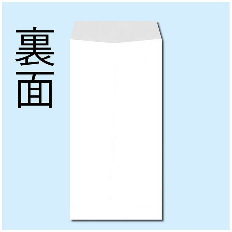 King Corporation N3MPB80 Envelopes, Privacy Protection, Window Statement, Oblong No.
