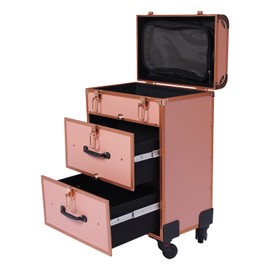 lkoewqzamx Professional Rolling Makeup Trolley Case, Train Case Box, Organizer Salon Cosmetic, with 360° Rotation Wheels, for Hair Stylist Beauty Nail Technicians (Gold)
