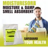 MOISTURESORB Reusable Mold & Mildew Smell Deodorizer Pouch: Rid Odor