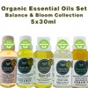 Nativilis Organic Essential Oils Collection – Balance & Bloom Collection