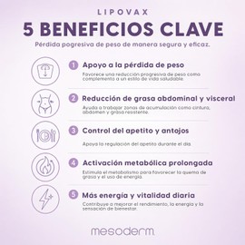 Lipovax Bioactivador Cosmético Corporal Profesional L-Carnitina, Coenzima Q10, Vitamina B12, Ácido Alfa Lipoico y Silicio Orgánico 60 Ampolleta 5 ml