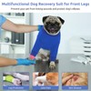Queenmore Queenmore Dog Leg Sleeve to Stop Licking, Alternative to