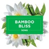 Glade Bamboo Bliss Song Scented Oil Plugin, 20ml