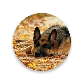 Vibiliyou A Set of 4 German Shepherd Dog Partten Absorbent Drink Coasters,Made of Round Ceramic Stone with a Cork Base,Ideal for Wooden Tables,and Perfect as a Housewarming Gift