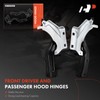 A-Premium Front Driver and Passenger Hood Hinges Compatible with Nissan