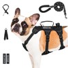 Escape Proof Dog Harness Medium Sized Dog, Six-Point Adjustable Service