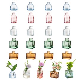 Glasseam Mini Bud Vases for Centerpieces: Colored Small Flower Vase Set of 20 Cute Tiny Glass Vases for Flowers Modern Decorative Wedding Table Centerpiece for Dining Room Decoration