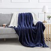 IR Imperial Rooms Sherpa Fleece Blanket Bed Throws Blankets For