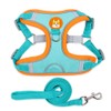 MAJIAYU Dog Harness for Small Medium Dogs Puppy Harness and