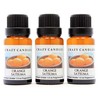 Crazy Candles Orange Satsuma (Made in USA) 3 Bottles 1/2
