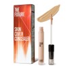 THE FUTURE Skin Cover Concealer, Blue Beard, Bear, Stains &