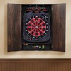 Viper Shadow Buster Dartboard Cabinet Mounted Display Light, with AC