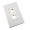 Construct Pro 2-Port Keystone Wall Plate with Screwless Face (Light