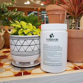 Bolayon Spinem Powder + Pack Tool 4-Piece Set (30 Samples) Spinem + Review Promise + Additional 20ml Hyaroten Toner Gift / 볼라욘 스피넴 파우더+팩도구4종세트 (30종샘플) 스피넴+리뷰약속+히아로텐토너20ml추가증정