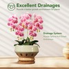 Gepege 6.5 Inch Orchid Pots with Holes for Indoor Plants,