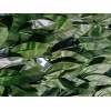 Green Market Follaje Rollo 1mx3m Muro Hoja Verde Plantas Artificiales