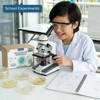 Bacteria Growing Kit with Pre-Poured Agar Plates | LB Agar