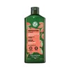 Yves Rocher Jojoba Repair Shampoo 300ml for extremely damaged hair 4068575 / 이브로쉐 호호바 리페어 샴푸 300ml 극손상모용 4068575